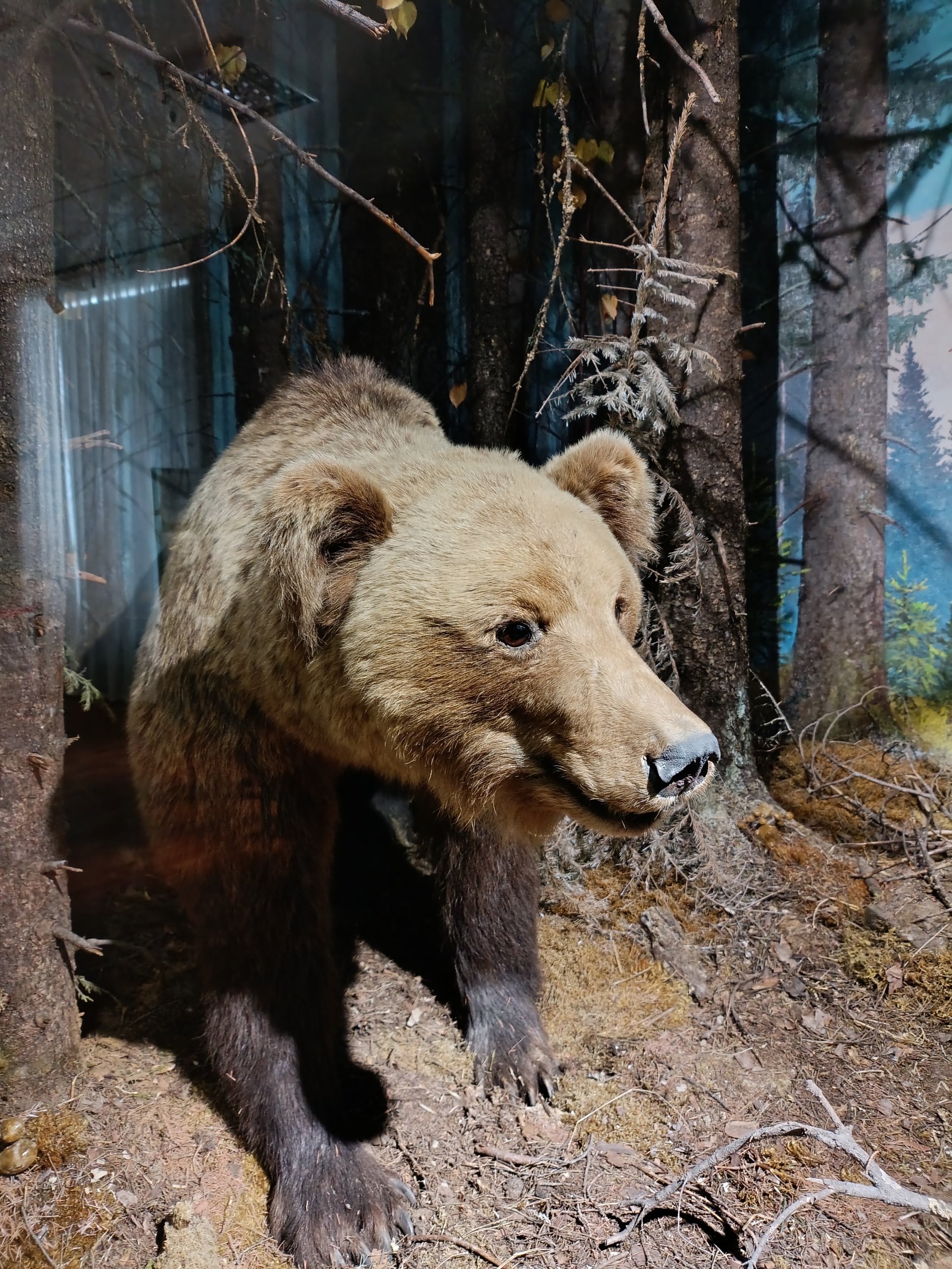 Национальный музей Республики Марий Эл им. Т. Евсеева, Советская улица,  153, Йошкар-Ола — 2ГИС