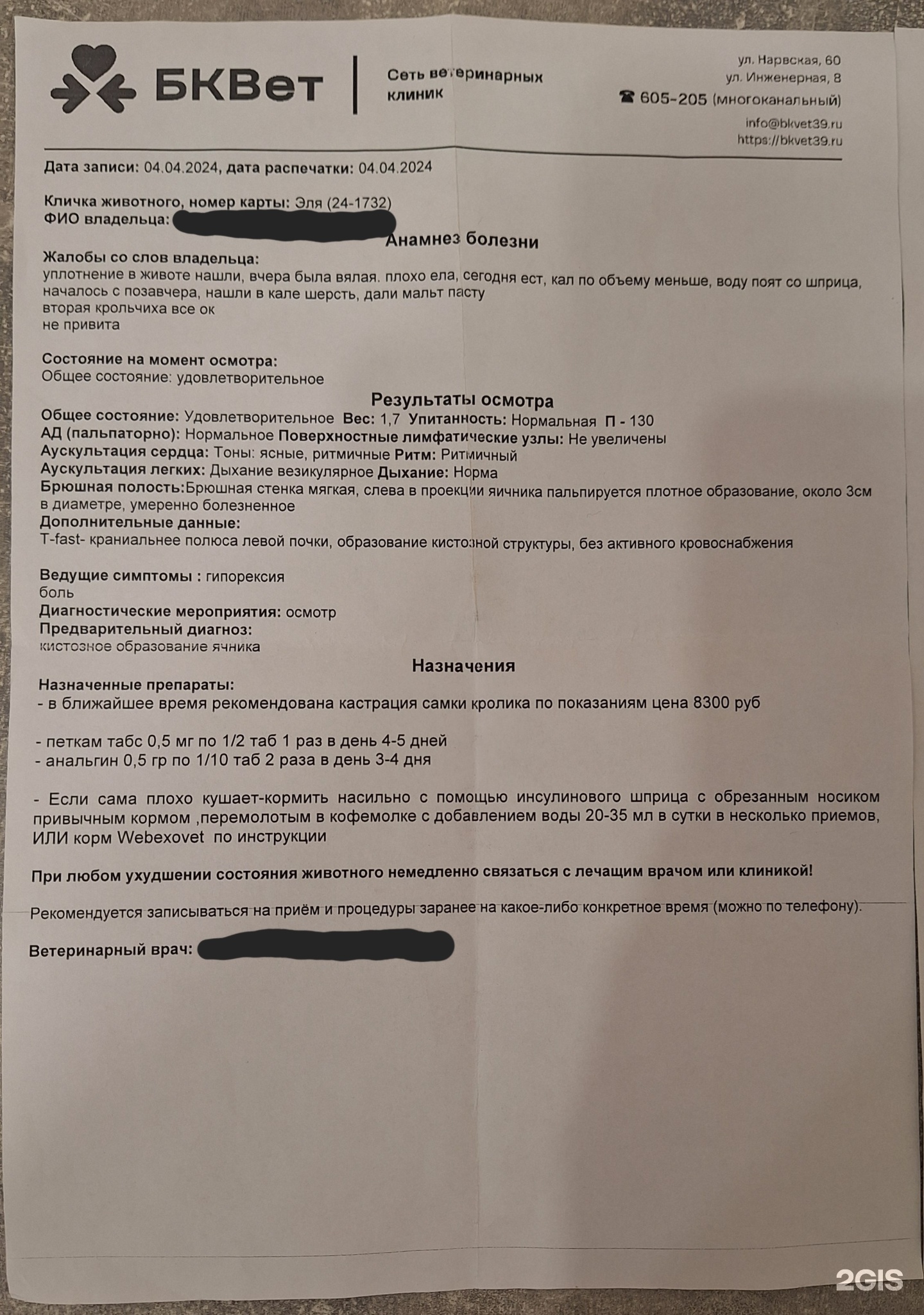 БКВет, ветеринарная клиника, Нарвская, 60, Калининград — 2ГИС