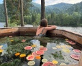 Релакс_Телецкое: отзыв от Роман Очаковский