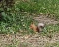 Лефортовский парк: отзыв от Кристина
