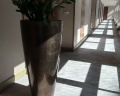 Hyatt Regency Moscow Petrovsky Park: отзыв от Наталья Долгополова