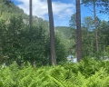Grand Chalet Altay: отзыв от Лариса Алексеева