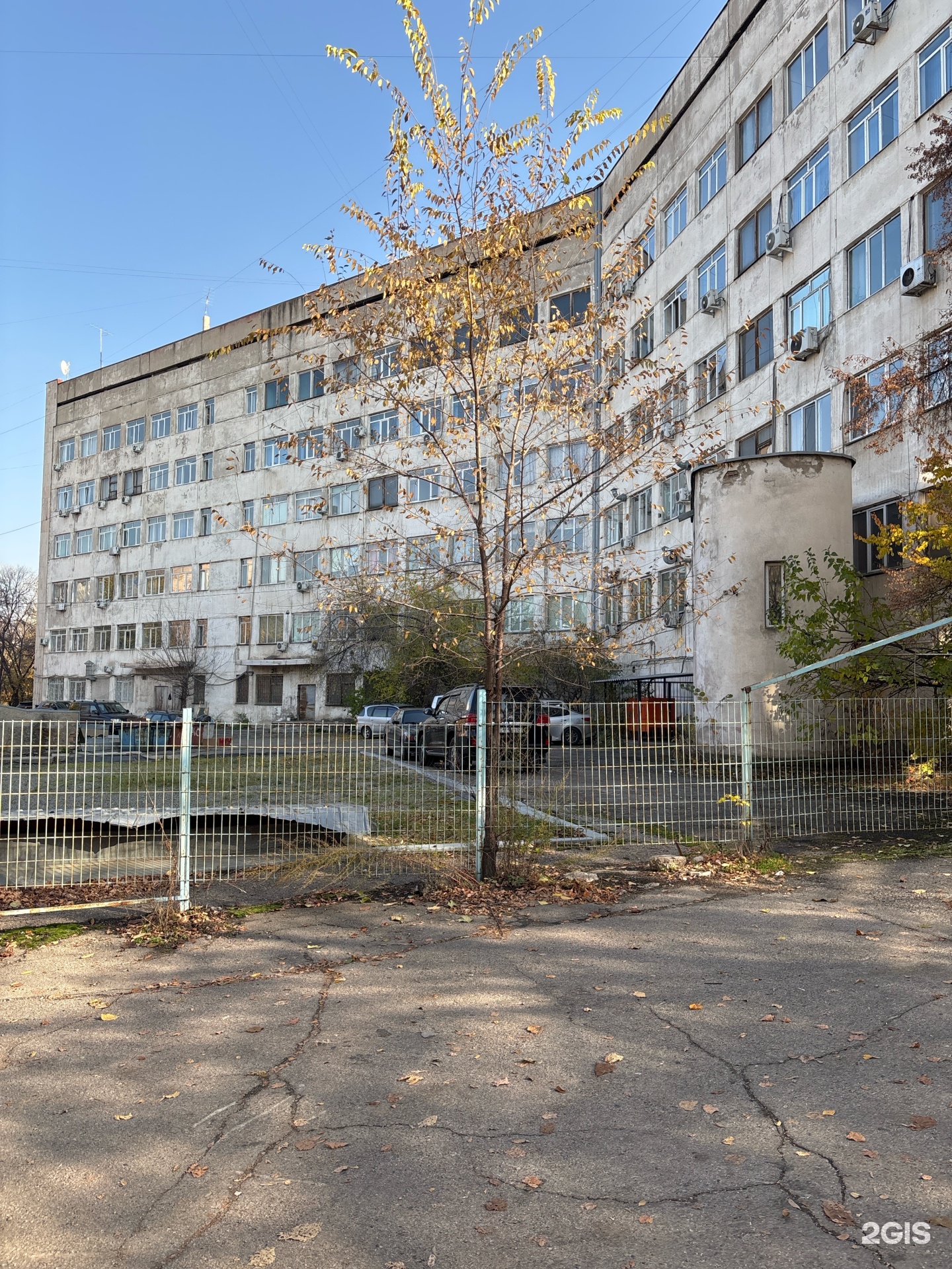 Жыныстық порнография суреттері