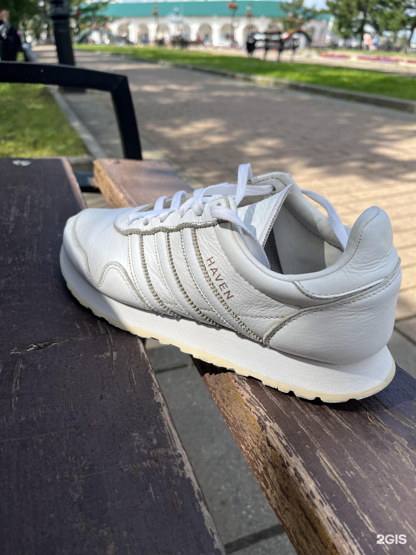 Adidas haven 2024 leather white