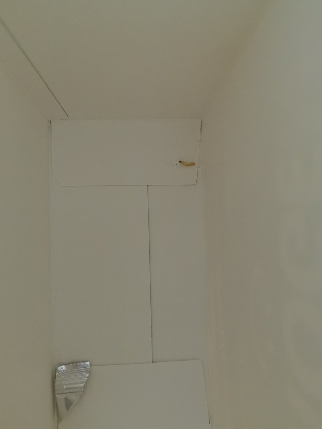 Порно көру: Алла апай Митяға арт жағынан жақындады