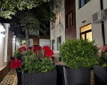 Alba inn apartments: отзыв от Подсолнух Лео