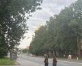 Номера на Балтийской: отзыв от Анастасия Иванова