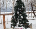 Holidays Forest: отзыв от Алина Щепеткова