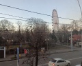 Georus: отзыв от Сергей Донецк