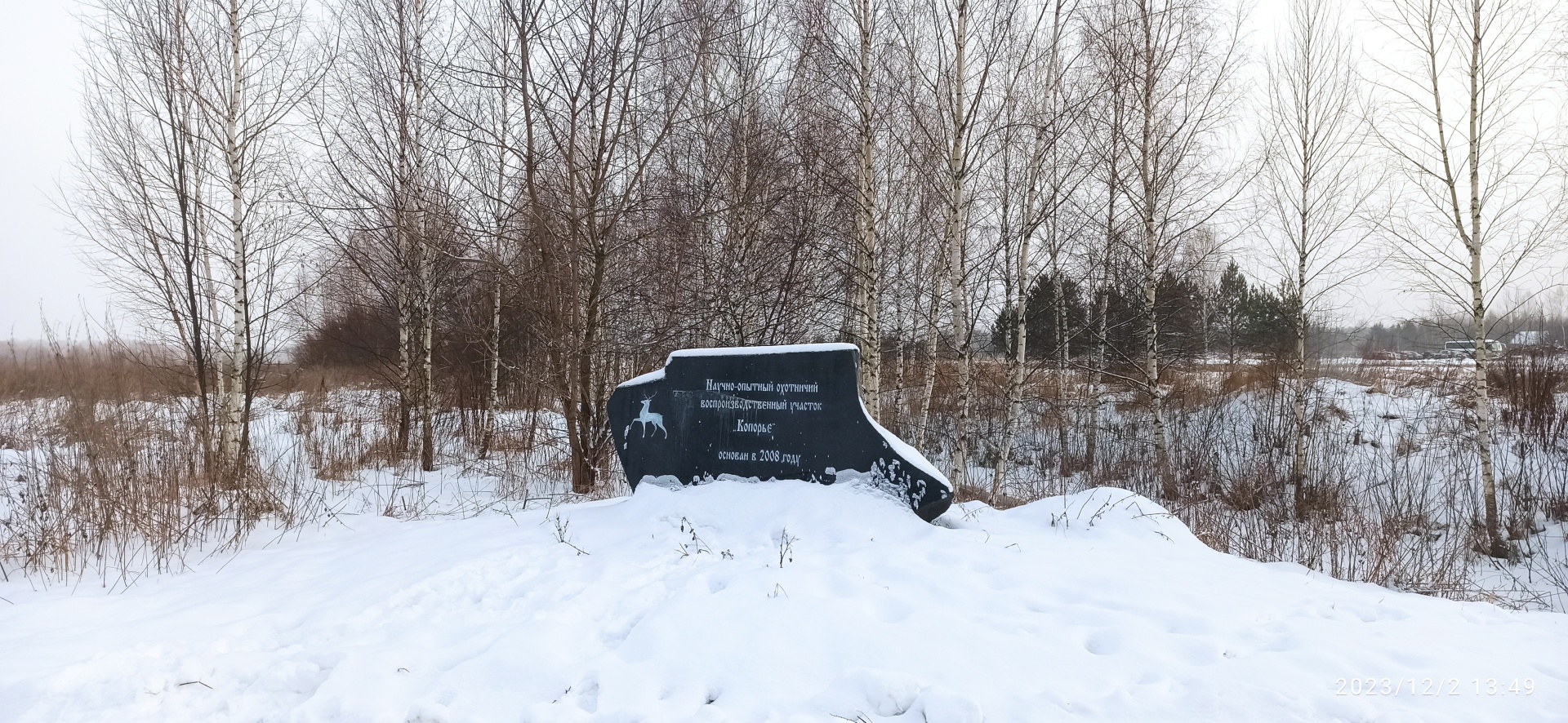 Романова тревел, туристическая компания, Нижне-Волжская набережная, 6/1,  Нижний Новгород — 2ГИС