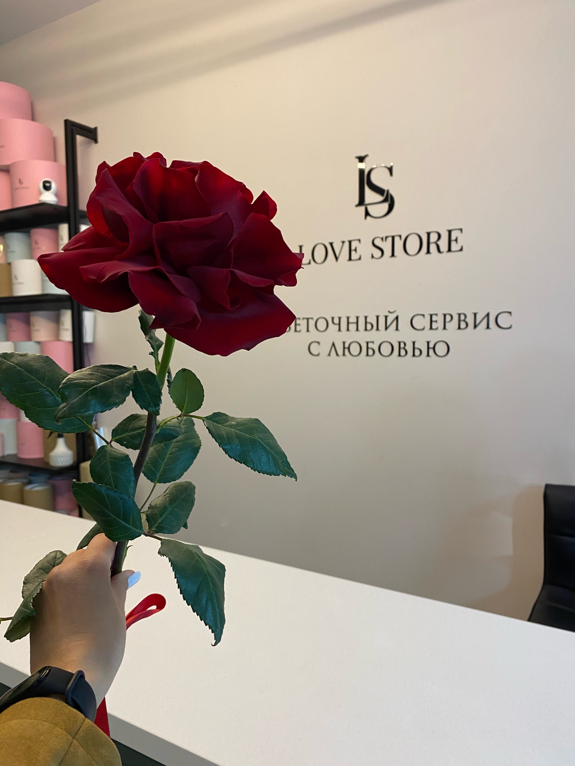 Love Store, салон цветов, Молодогвардейская, 223, Самара — 2ГИС