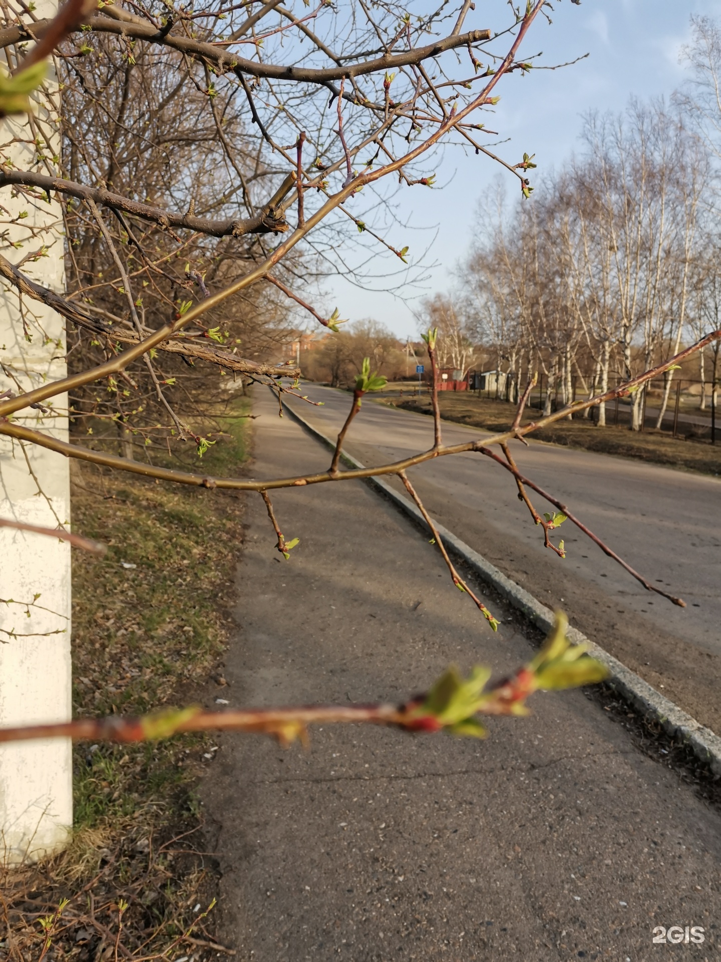 Уссурийская центральная городская больница, стационар, улица Дубовая роща,  1, Уссурийск — 2ГИС