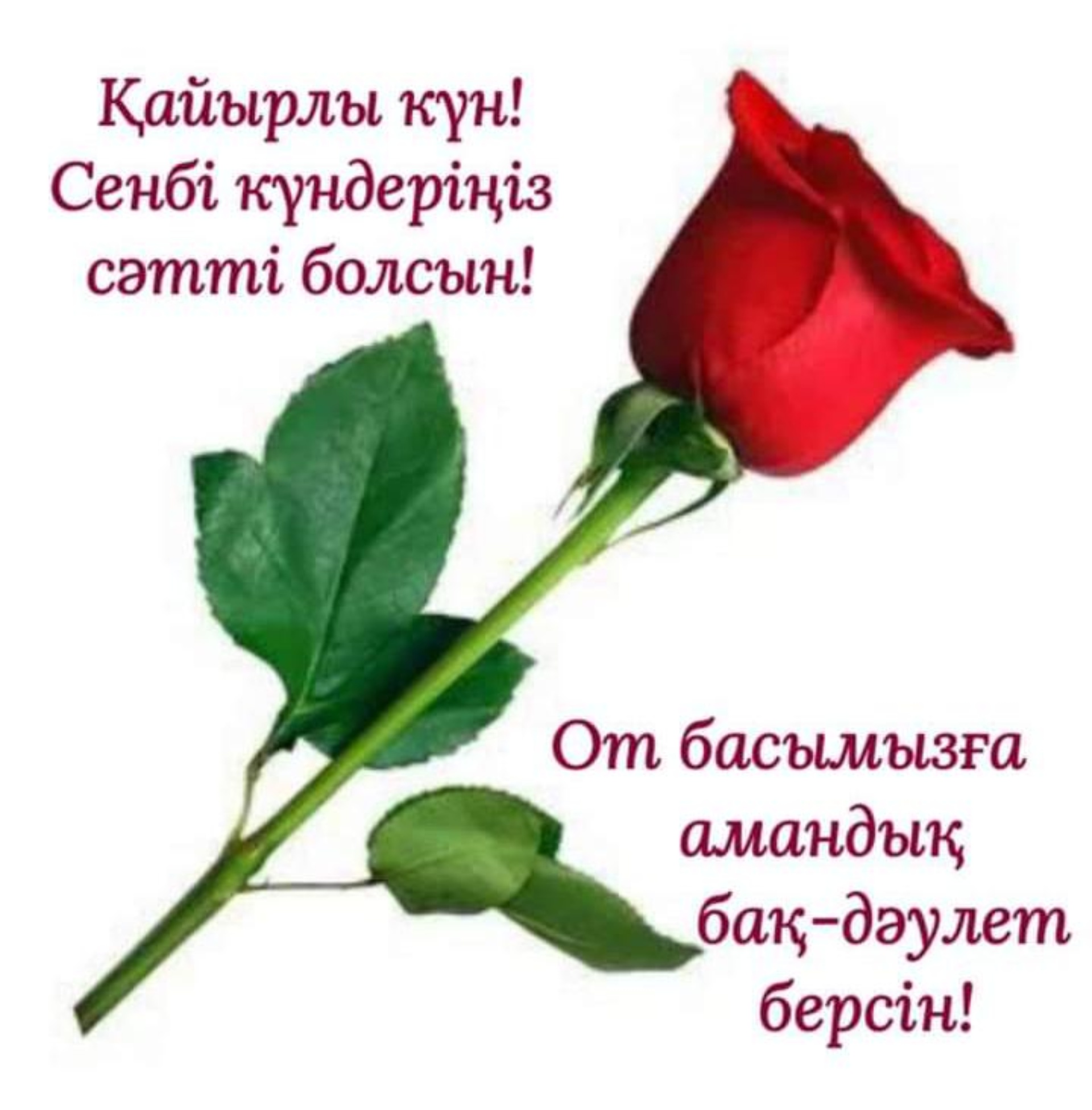 Медфетиш танысу Иттің желіде қожайынының порносы бар