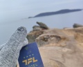 Tfl Hotel Vladivostok: отзыв от Vadim Box