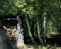Lipki house: отзыв от Екатерина К