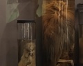 Кунсткамера: отзыв от И А