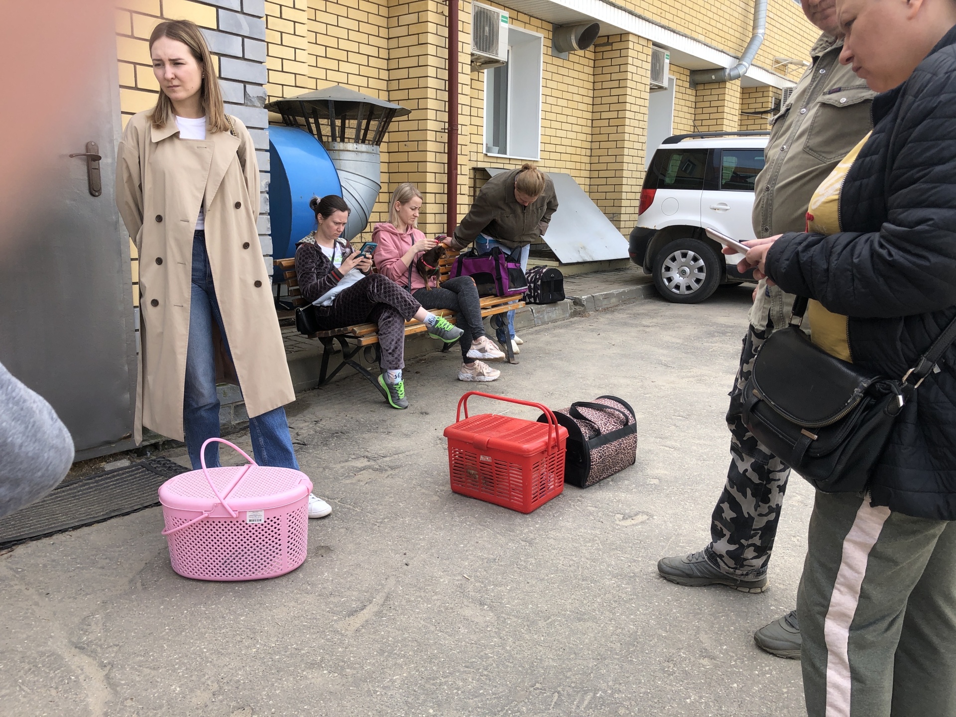 Государственное ветеринарное управление городского округа, Кабинет скорой  ветеринарной помощи Нижнего Новгорода, Ветеринарная, 4, Нижний Новгород —  2ГИС