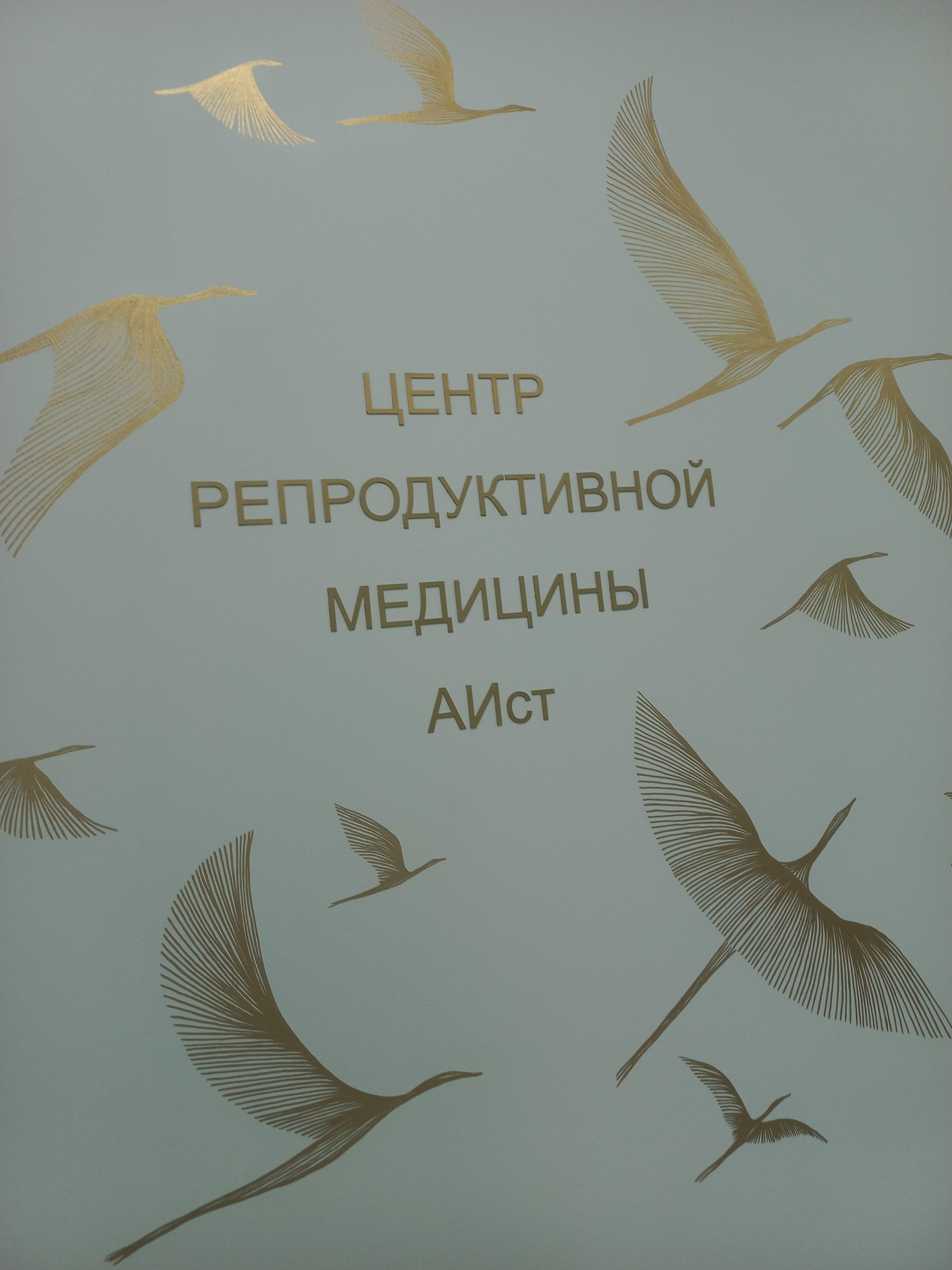 Аист, центр репродуктивной медицины, Меридианная улица, 2, Казань — 2ГИС