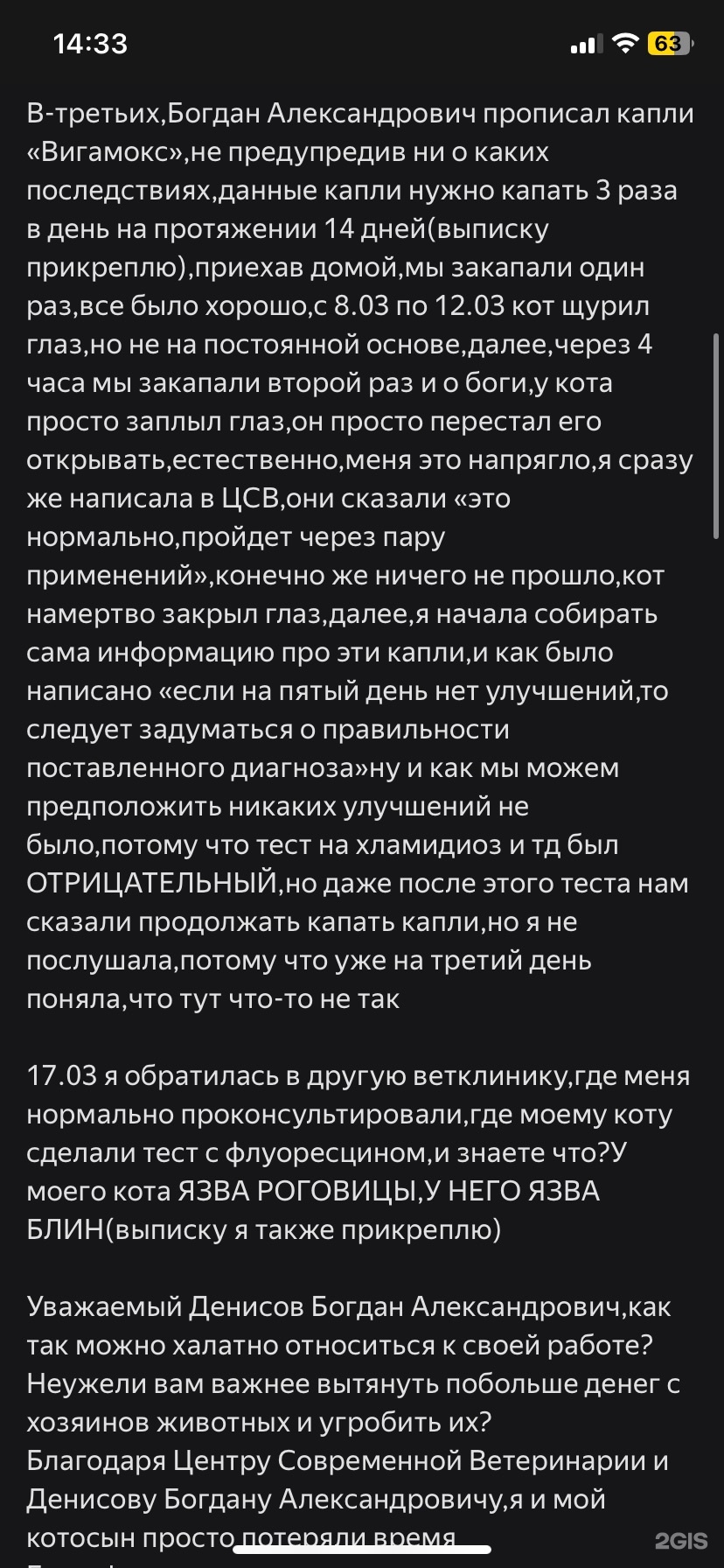 Центр Современной Ветеринарии, Панина, 26а, Иваново — 2ГИС