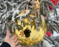 Игора: отзыв от Лариса Нестерова