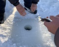 Стрекоза: отзыв от Ольга