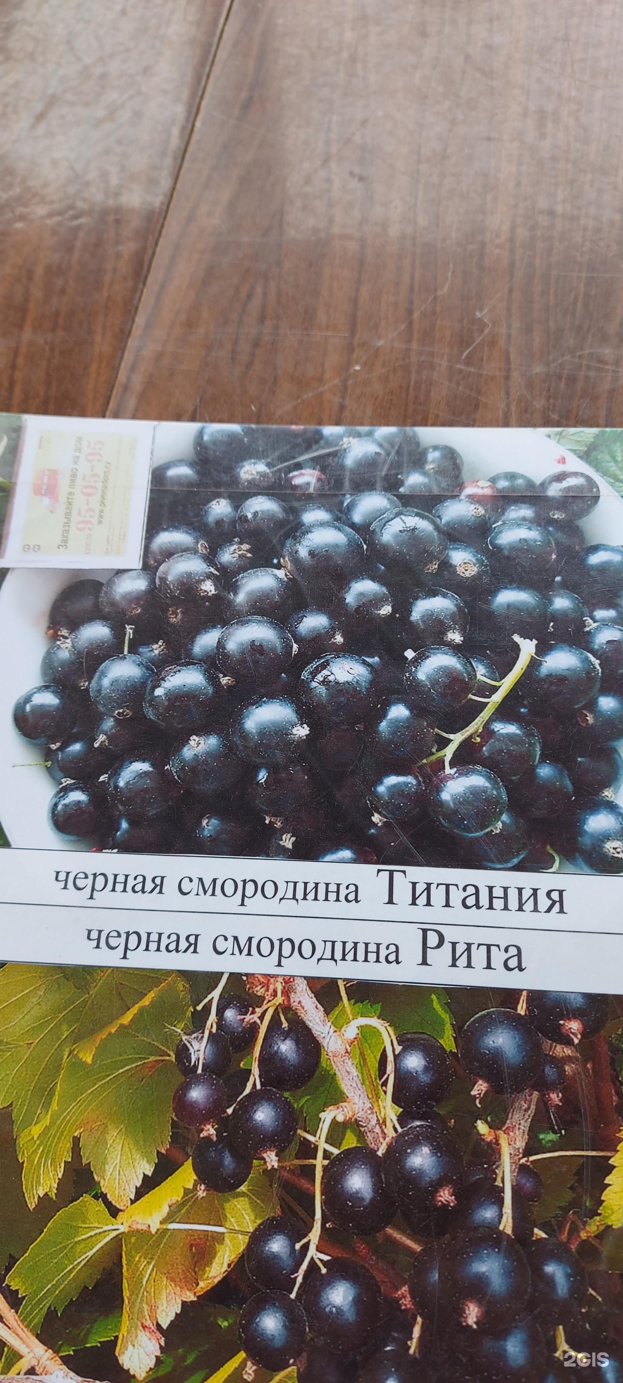 Плодово-ягодный питомник, Приморское лесничество (36-й квартал), 1, Иркутск  — 2ГИС