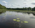 ЕлятыЛодж: отзыв от DKolm76 Колм