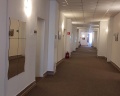 Амай на Первомайской: отзыв от Ольга .