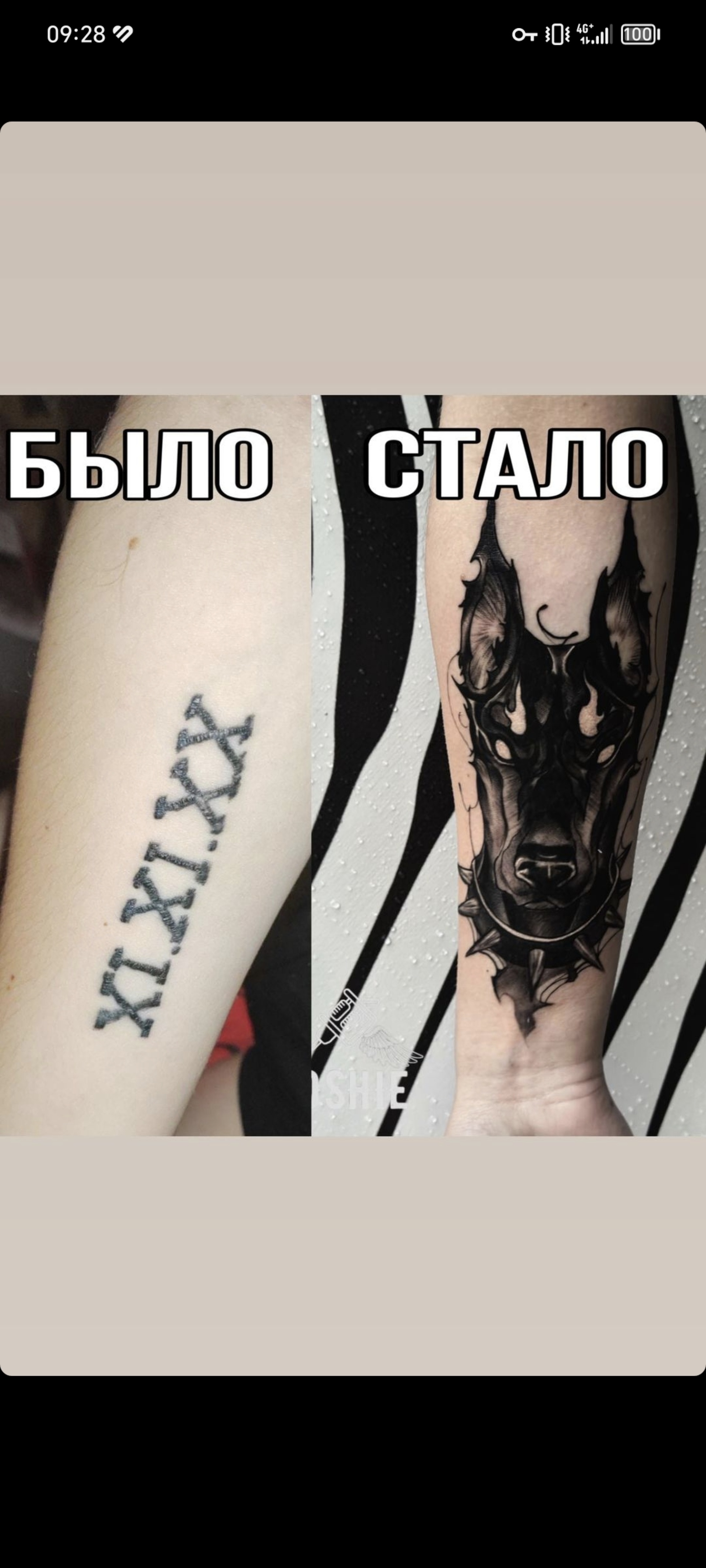 Тату волка: фото и идеи татуировок, значение и эскизы