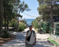 Alion: отзыв от gerasim bespalov