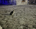 Старая мельница: отзыв от Алёна Маркова