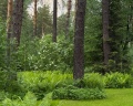 Grand Chalet Altay: отзыв от Маргарита Комиссарова