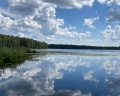 Стрекоза: отзыв от Дина Матвеева