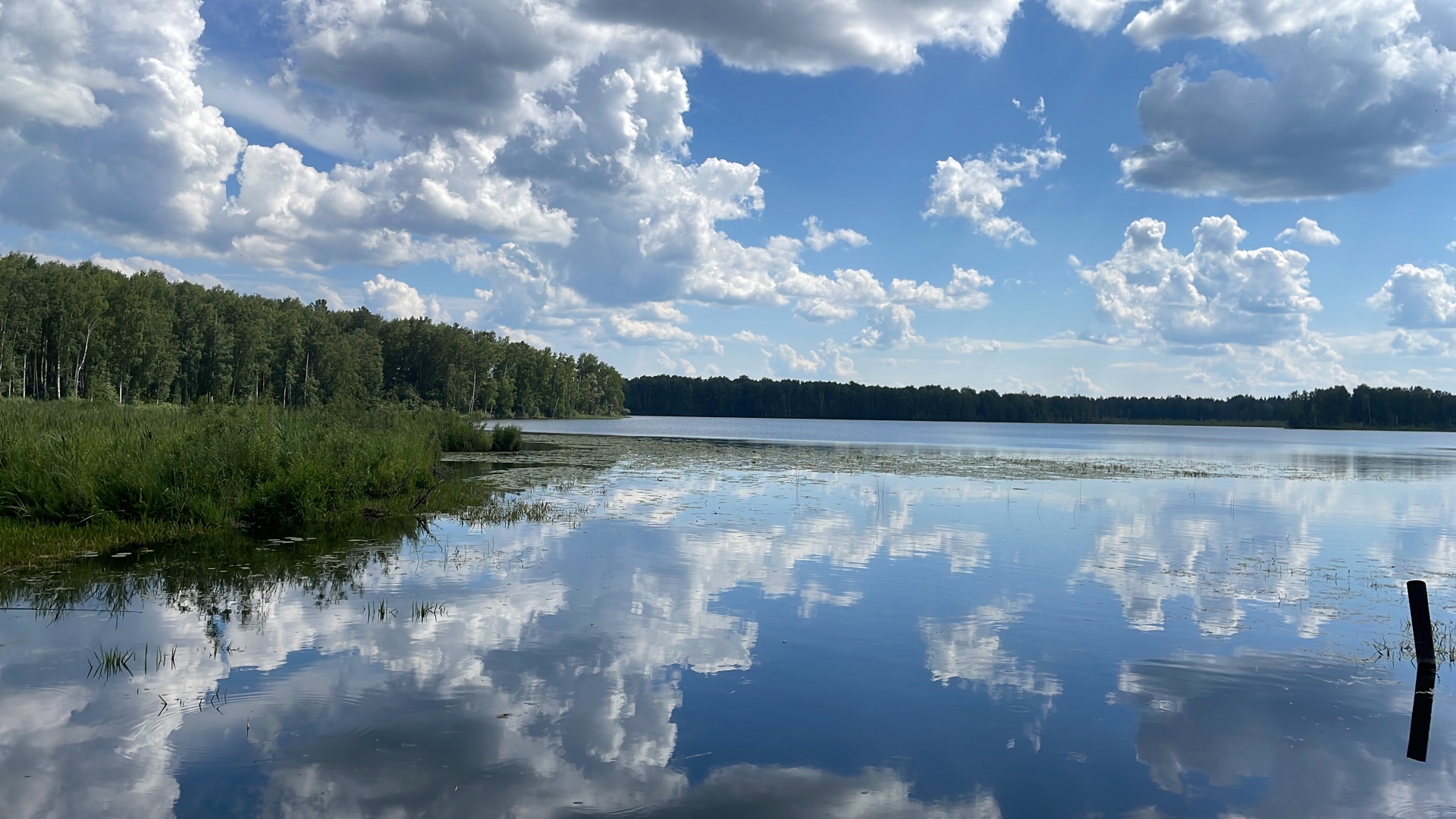 Стрекоза, экоусадьба, Приозёрная улица, 1Б, пос. Уткуль — 2ГИС