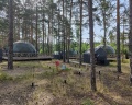 Хвойный берег: отзыв от Елена Федорова