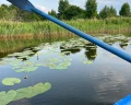 Некрасовская дача: отзыв от Соня