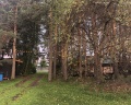 Лесная семья: отзыв от Алина Прокопьева