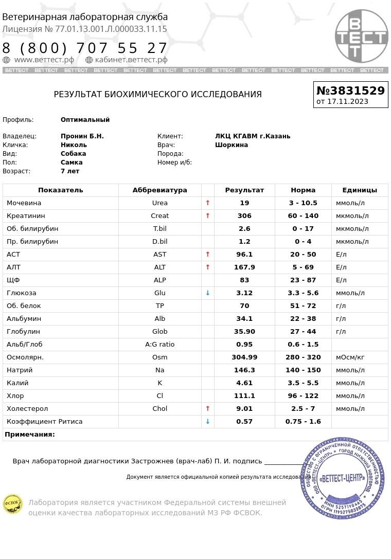 Лечебно-консультационный центр, КГАВМ им. Н.Э. Баумана, Сибирский тракт, 35  к6, Казань — 2ГИС