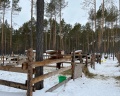 Nordwind: отзыв от Денис Гилев