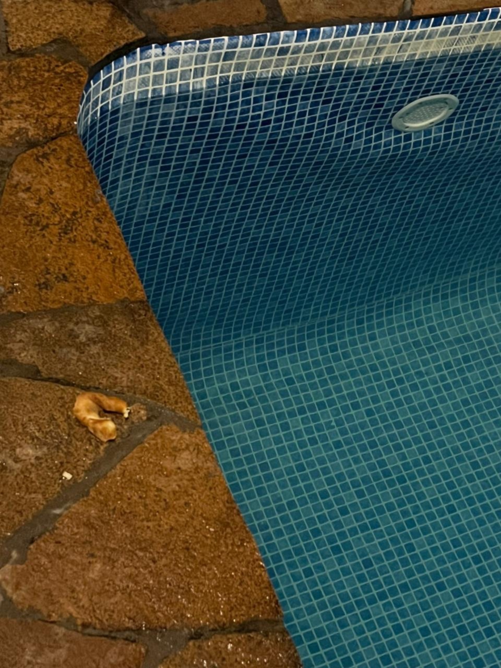 Шашты сексуалды