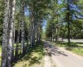 Парк «Сосновка»: отзыв от Георгий Канев