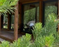 Forest Home72: отзыв от Яна Нескажу