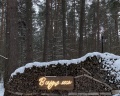 Pine River: отзыв от Камила Астаркулова