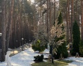 Ян: отзыв от Рамиля Рафикова
