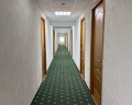 Шишкинъ: отзыв от Жанна