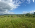 Побеги: отзыв от Городской житель