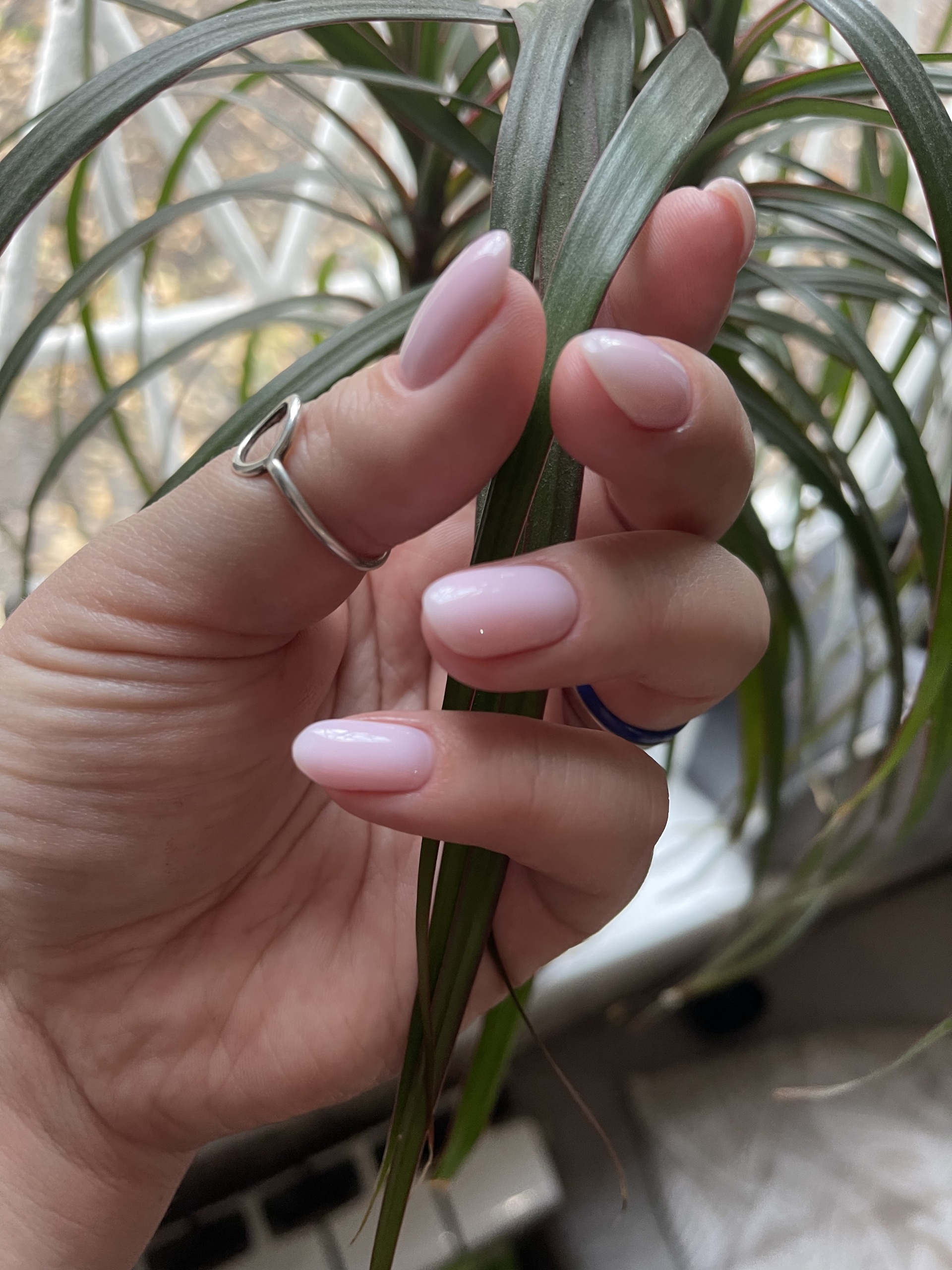 Tali nail, ногтевая студия, ТЦ МЦ, улица Миклухо-Маклая, 36а, Москва — 2ГИС