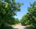 Svetlitsa Guest House: отзыв от Юлия Боярова