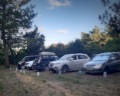 Под соснами: отзыв от Точилка К