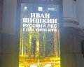 Корпус Бенуа. Русский музей: отзыв от Far from the madding crowd